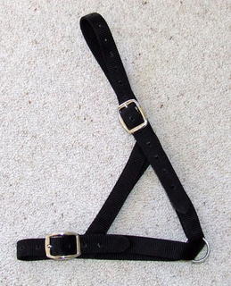 Halter - Cow Tethering