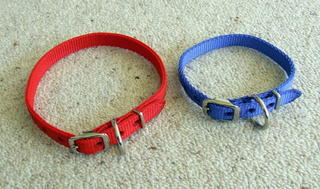 Webbing collar