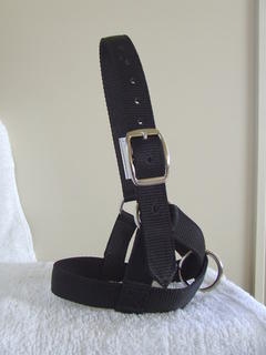 Halter - Heavy Duty Goat  1