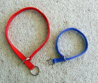 Goat Show collar