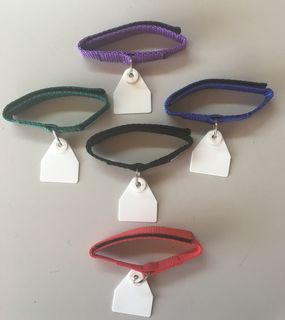 Neck Tags - multi coloured pack